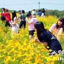 서광리-16 Daum카페