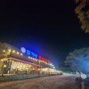 임가네목장 | 흥도동맛집 임가네한우마을에서 맛본 최고의 한우등심! -연말연시 가족/단체 모임의 성지