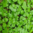 아람어린이집 이미지