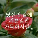 오늘도예쁘게 이미지
