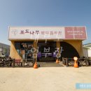 이조은약국 이미지