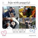 칼도에스프레소바 - 강서구 마곡중앙로 165 | 강아지랑 제주도 여행 (3) 바이러닉 에스프레소 바, 동문시장 쇼핑, 애월더선셋, 강아지 동반 카페