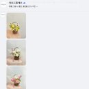 라모드플레르
