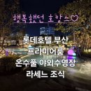 롯데호텔 부산 호캉스♡ 37층 프리미어 룸 컨디션, 사계절 온수풀 야외수영장, 라세느 조식 후기