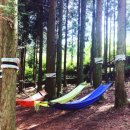 느랭이골자연리조트 이미지