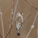 여주-1031 이미지