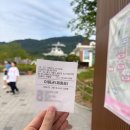존버드 | 가평 베고니아 새정원 후기｜꽃정원·버드존·먹이체험까지 알찼던 가평 가볼만한곳