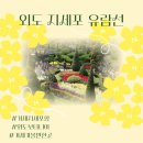 지세포해안로 이미지