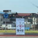 6공주꽃 | 2026 공주 유구색동수국정원꽃축제 후기