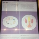 선샤인 하우스 이미지