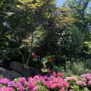 안덕면행정복지센터 이미지