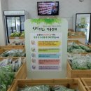 싱싱농산물 이미지