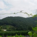 천등산민박