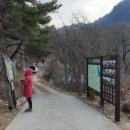 동산사슴목장 이미지