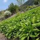 종명농장 이미지