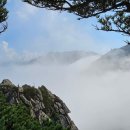 산음가(산운 3-54) 우중야행(雨中夜行) 정격 단시조/반산 한상철 이미지