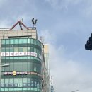 정영철피부과의원 이미지