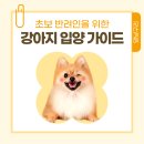 댕냥구리 강아지분양 고양이분양 구리본점 네이버블로그