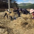 충청남도 태안군청 이데일리