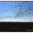 서해안여인숙 이미지