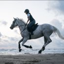 순창군승마장 이미지