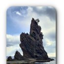 대한렌트카㈜ 이미지