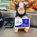 삼성족발 - 강남구 영동대로112길 9 | 삼성족발