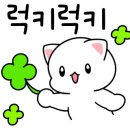 포항시남구35 이미지