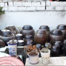 대성한식전문식당 이미지