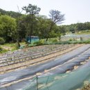 풀무골농장 이미지