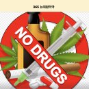 대원약국 | 현재 금지된 일본 편두통약 &#39;이브&#39;가 인기였던 이유와, 약국에서 쉽게 구할 수 있는 대체약까지 정리!