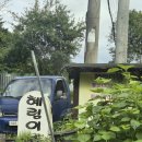 양평맛집 계곡 아래 혜림이네집 | 닭볶음탕 후기