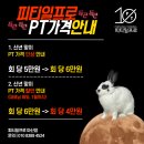 원 피티 네이버블로그