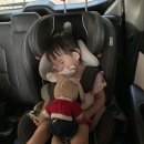 서울키즈파파치과의원 이미지