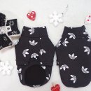 코코아도그 이미지