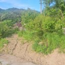 법전면사무소 이미지