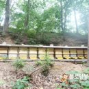 불로양봉자재 이미지