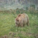 연세학원 승합차 | 관광버스 인원에따라서 선택기준 이렇게해보세요!