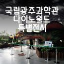 국립광주과학관 2024 특별전시 다이노월드 솔직후기 - 입장부터 체험과 무료공연 안내까지