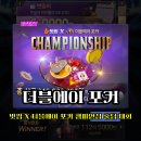 홀덤매니아 이미지