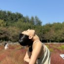 사미/새미 이미지