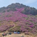 무박 수학여행! - 거제시 대금산 꽃구경, 이수도는 조깅모드 한바꾸, 매미성은 인파로 입구만~ 이미지