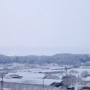 장본대교
