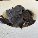 뉴팔로우헬스 | 서른둘 굿바이! 힘차게 달려온 25년으로 마무리 💨