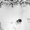 블랑제니 이미지