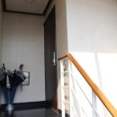 강남-230 이미지