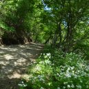 진산자연휴양림 이미지