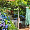 앵지밭골 이미지