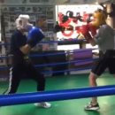 성호복싱클럽 이미지