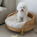 봉봉애견 이미지